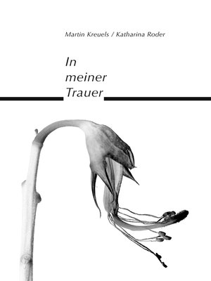 cover image of In meiner Trauer
